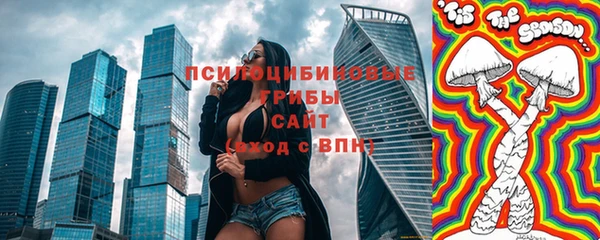ГАЛЛЮЦИНОГЕННЫЕ ГРИБЫ Бронницы