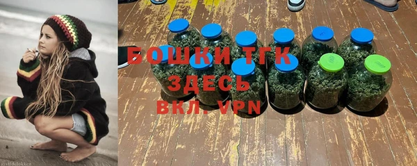 ГАЛЛЮЦИНОГЕННЫЕ ГРИБЫ Бронницы