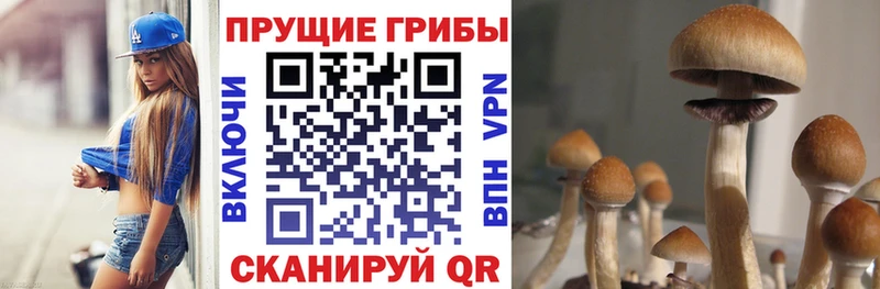 Псилоцибиновые грибы мицелий Мураши