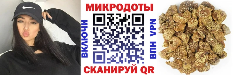 blacksprut ССЫЛКА  Мураши  Псилоцибиновые грибы Psilocybine cubensis 